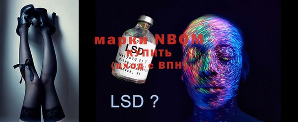 крисы Инта