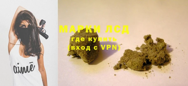 крисы Инта
