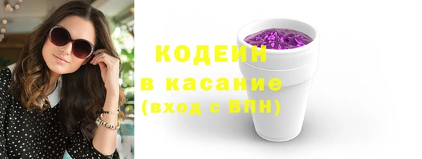 крисы Инта