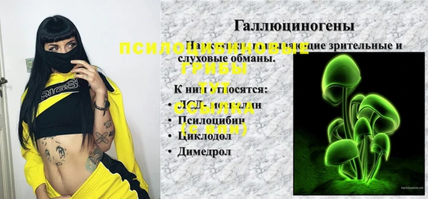 крисы Инта
