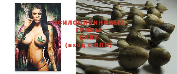 гидропоника Инсар