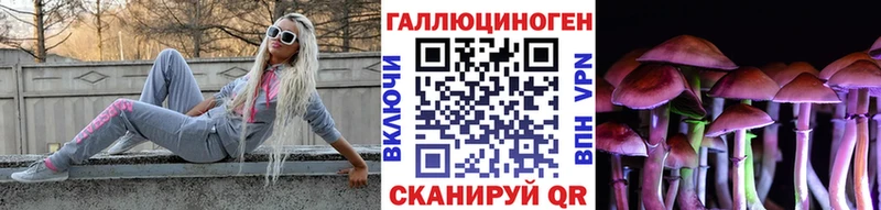 Псилоцибиновые грибы Cubensis  Купить закладки  Курлово 